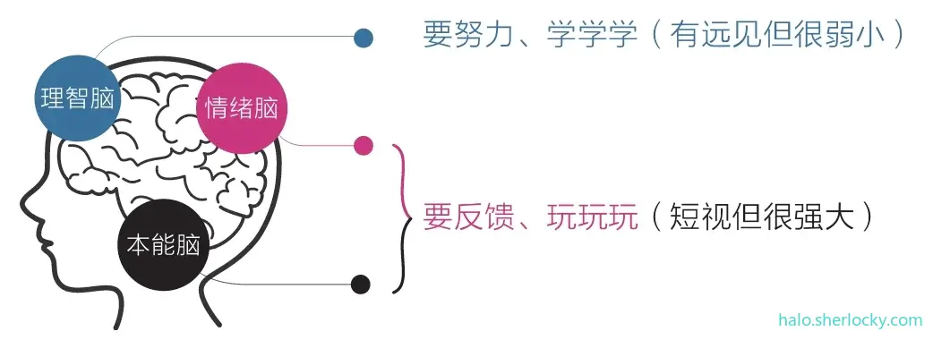 认知觉醒-学习的发动机.jpeg