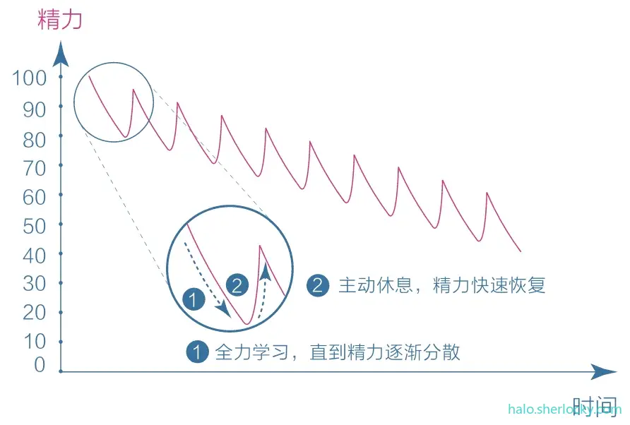 认知觉醒-轻松者的精力变化曲线.jpeg
