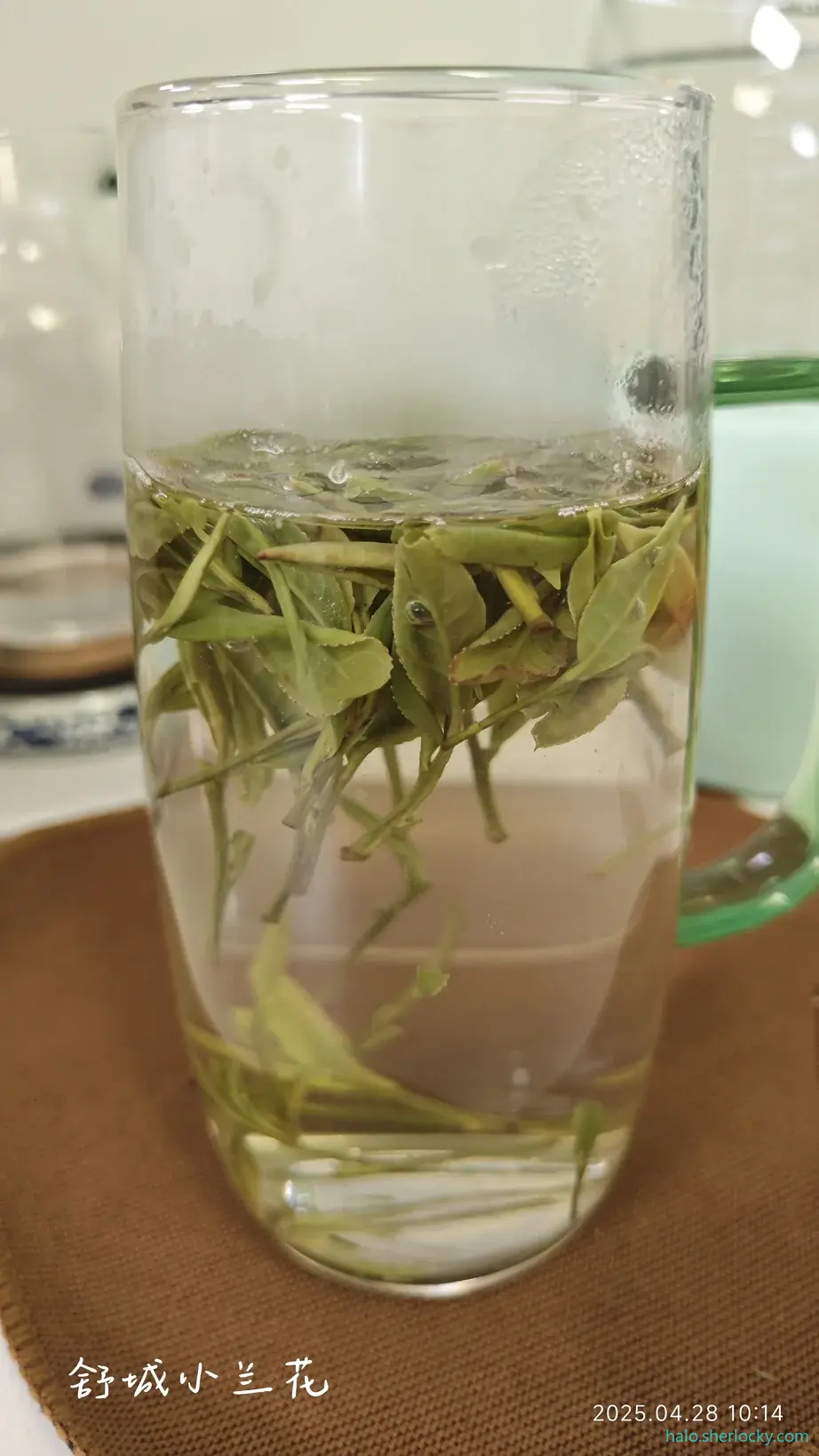 舒城小兰花-冲泡1.jpg