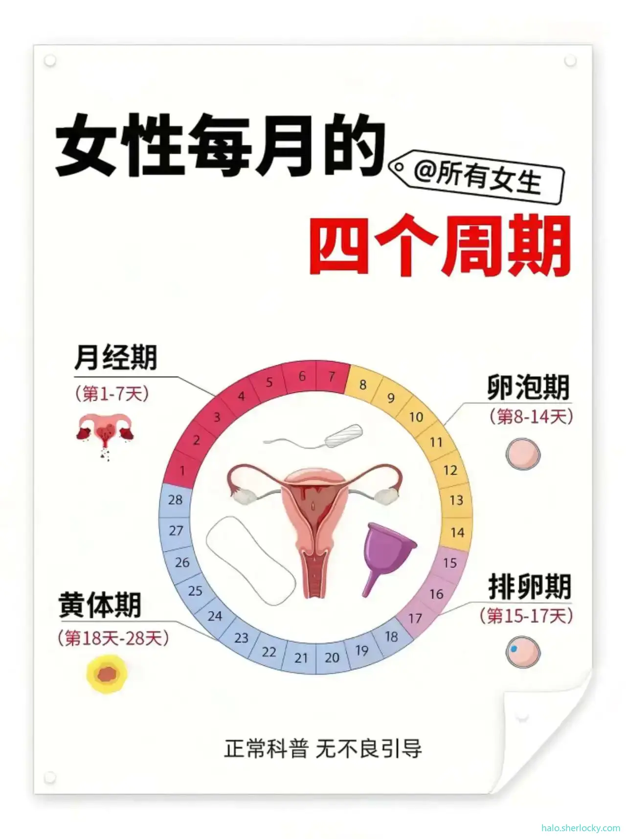 女性生理周期1.jpg