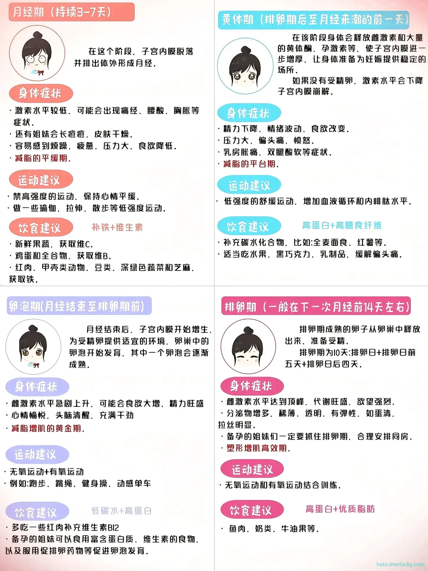 女性生理周期2.jpg