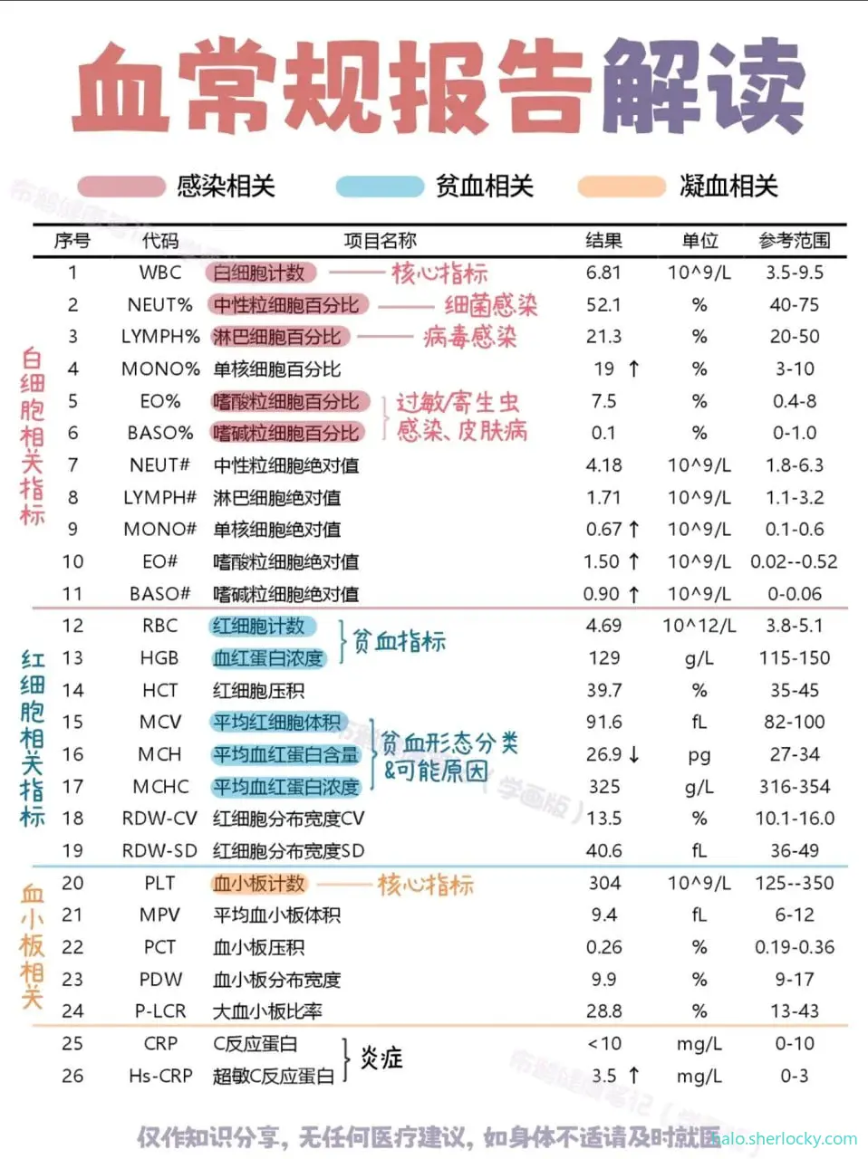 血常规报告解读.jpg