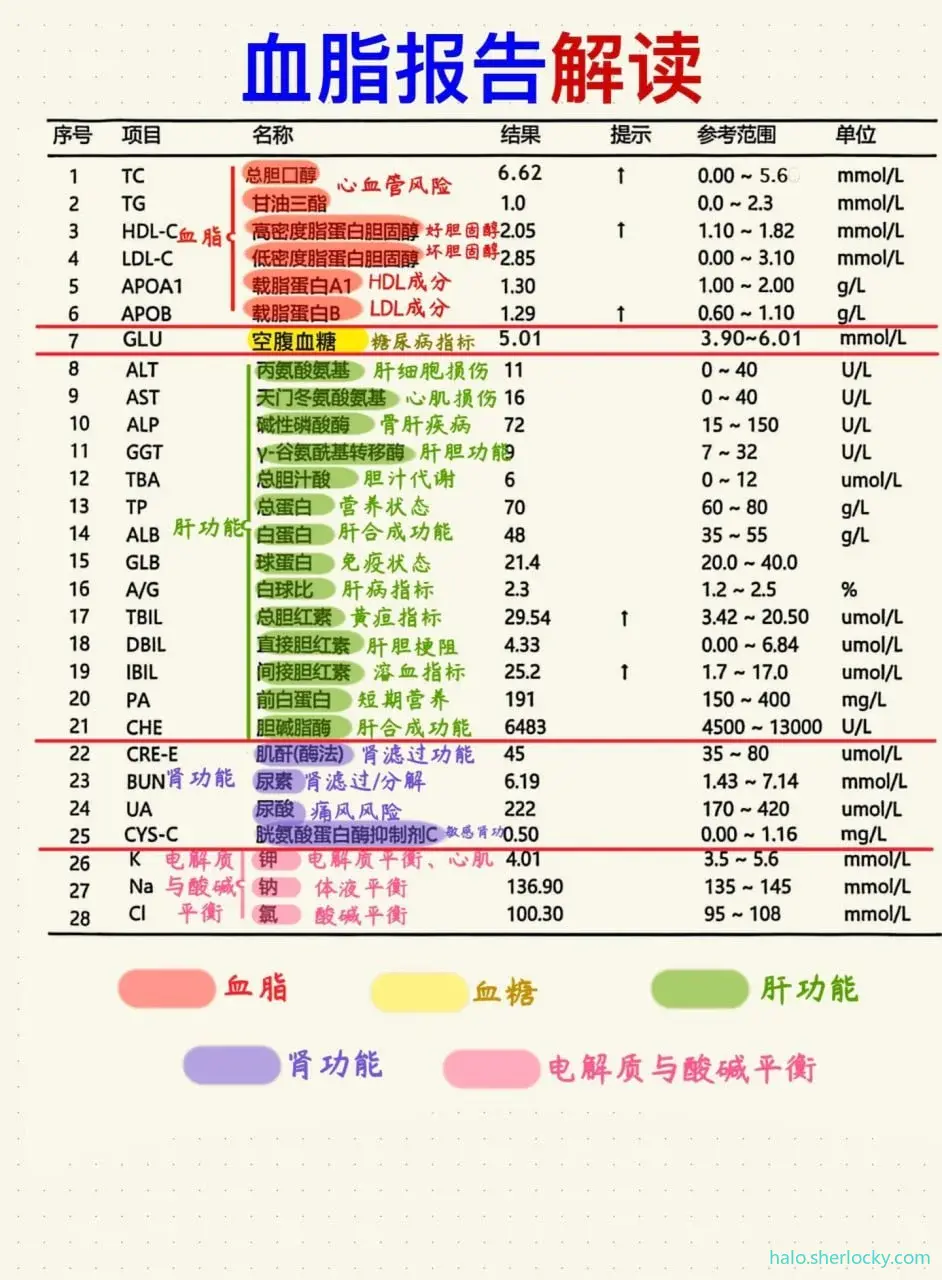 血脂报告解读.jpg